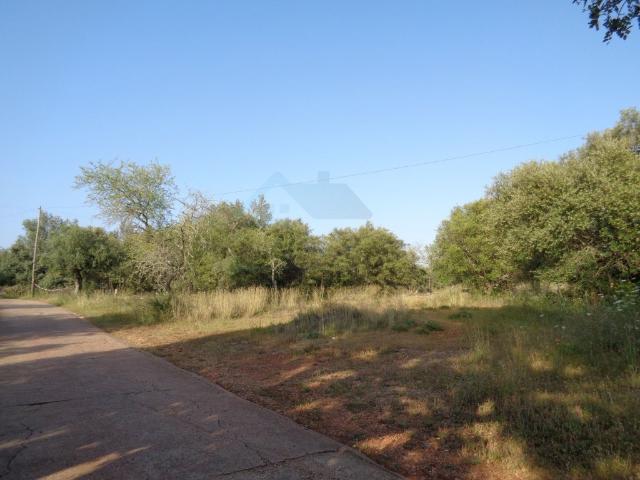 Terreno venda em Loulé, Faro