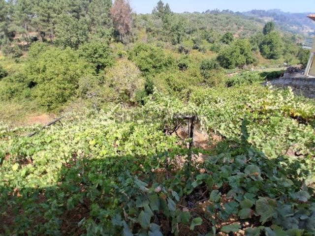 Terreno venda em Tarouca, Viseu