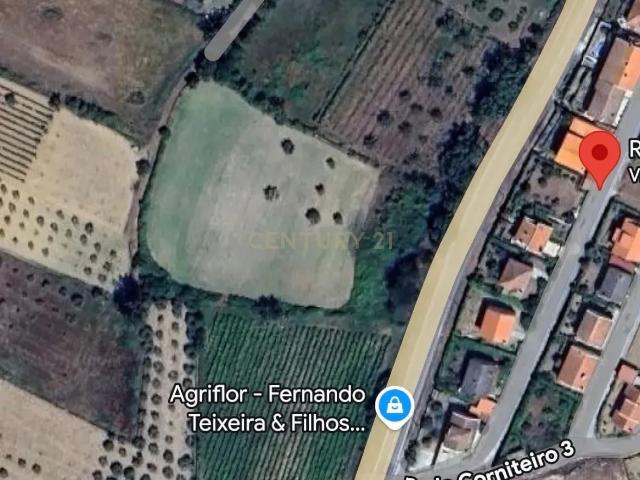 Terreno venda em Vila Flor, Bragança