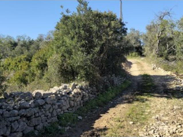 Terreno venda em Faro