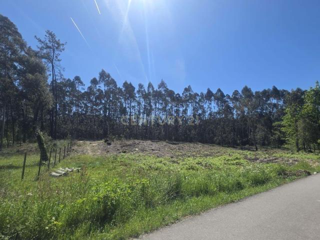 Terreno venda em Quinta do Torto, Aveiro