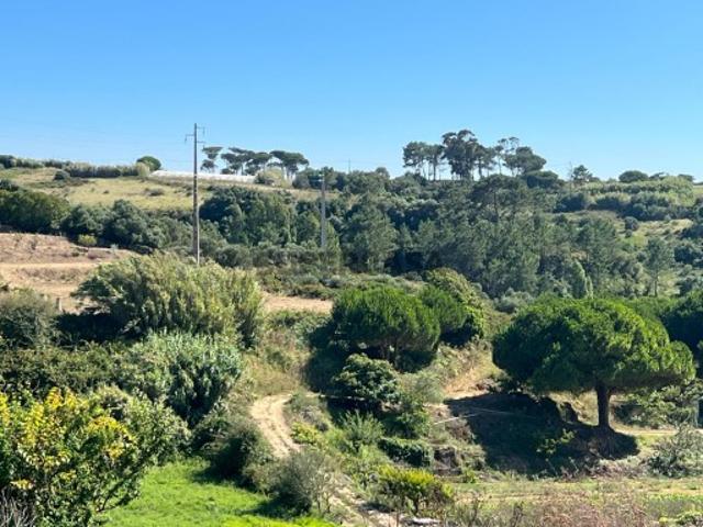 Terreno venda em Bolelas, Sintra