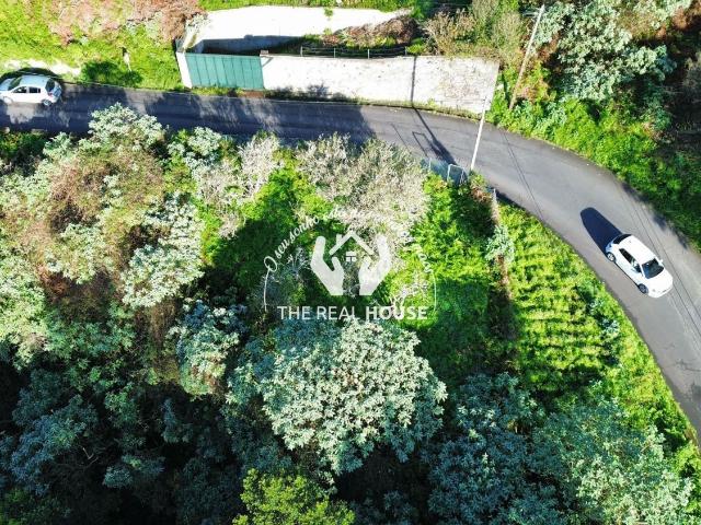 Terreno venda em Santo António da Serra, Machico