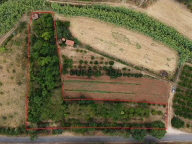 Terreno venda em Pedreira de Santo Estêvão, Silves