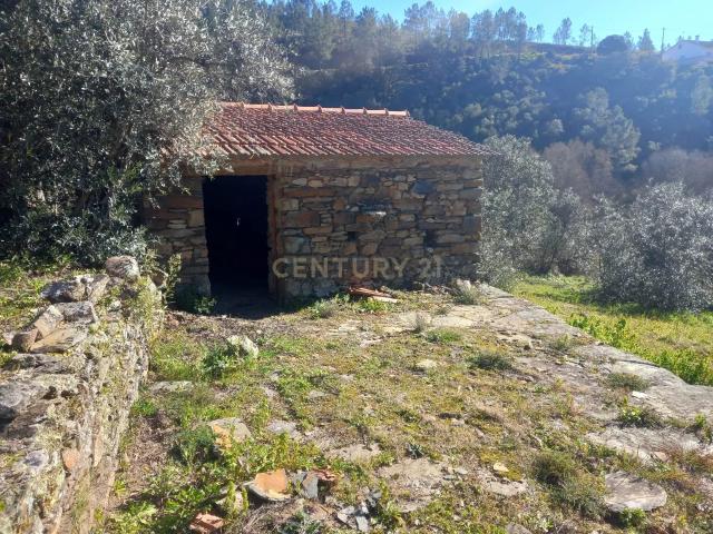 Terreno venda em Castelo Branco