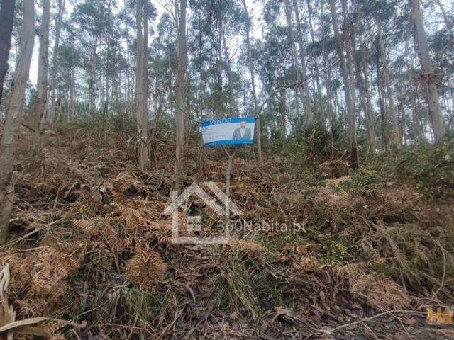 Terreno venda em Felgueiras, Porto