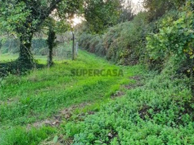 Terreno venda em Valença, Viana Do Castelo