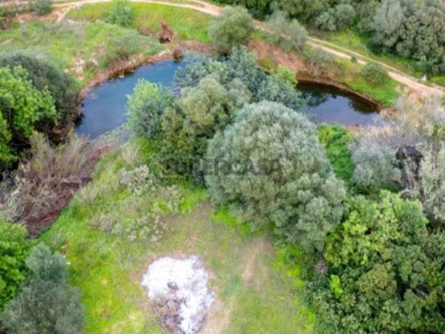 Terreno venda em Santa Catarina da Fonte do Bispo, Tavira