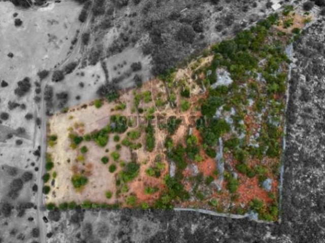 Terreno venda em Santa Catarina da Fonte do Bispo, Tavira