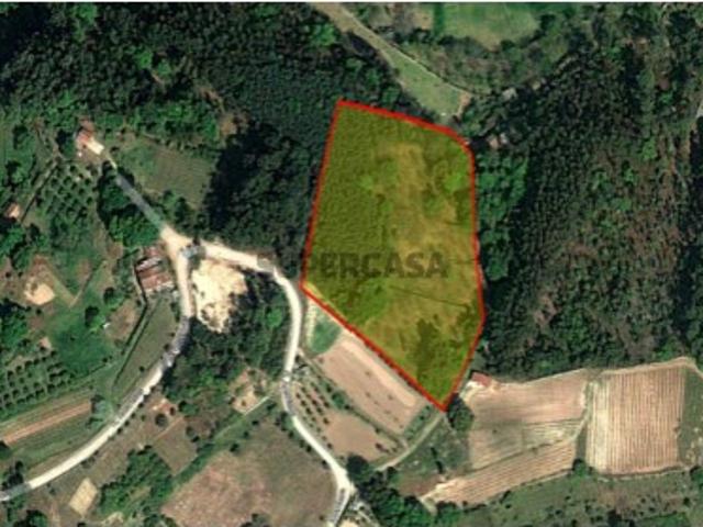 Terreno venda em Campo de Besteiros, Tondela