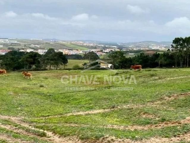 Terreno venda em Torres Vedras, Lisboa