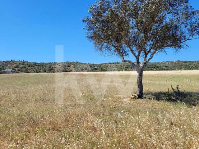 Terreno venda em Algoz, Faro