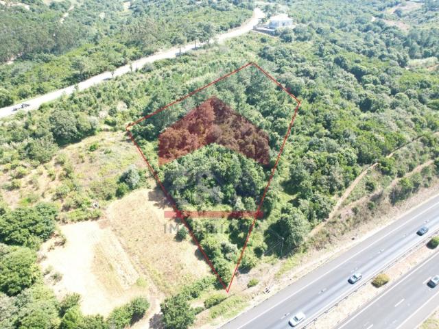 Terreno venda em Óbidos, Leiria