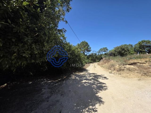 Terreno venda em Óbidos, Leiria