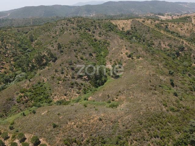 Terreno venda em São Bartolomeu De Messines, Faro