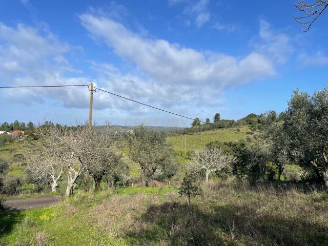 Terreno venda em Abrantes, Santarém