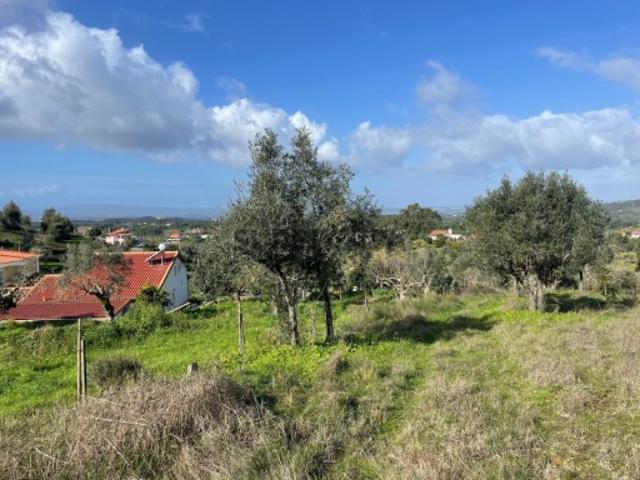 Terreno venda em Abrantes, Santarém