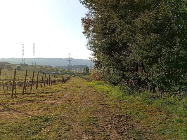 Terreno venda em Valongo, Porto
