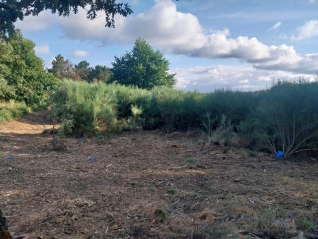 Terreno venda em Guarda, Aguiar Da Beira