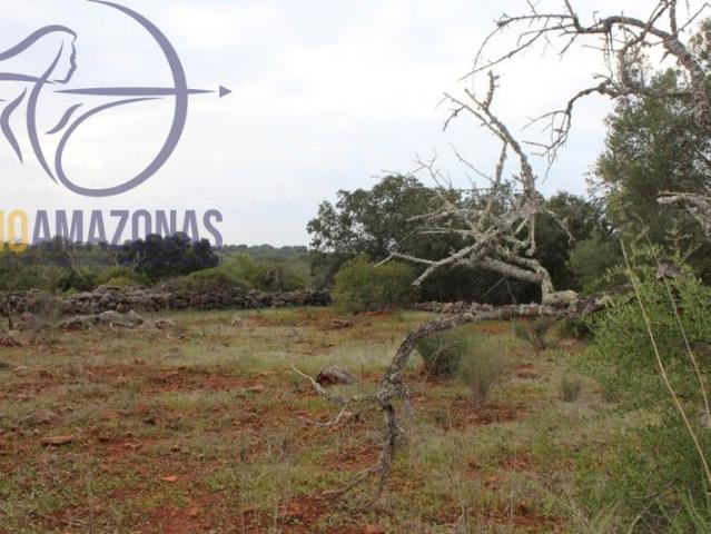 Terreno venda em Loulé (São Clemente), Loulé