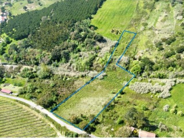 Terreno venda em Caldas Da Rainha, Leiria