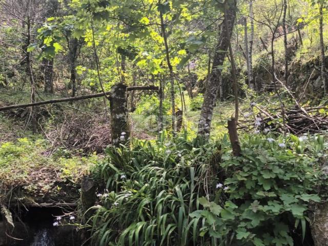 Terreno venda em Parada Do Bouro, Braga