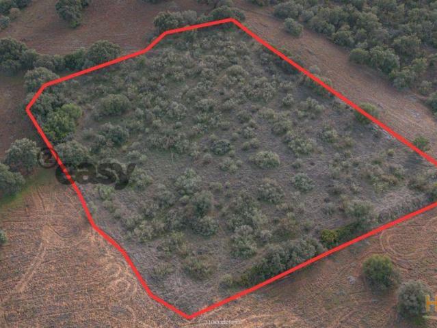 Terreno venda em Vidigueira, Beja