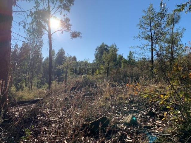 Terreno venda em Pedrógão Grande, Leiria