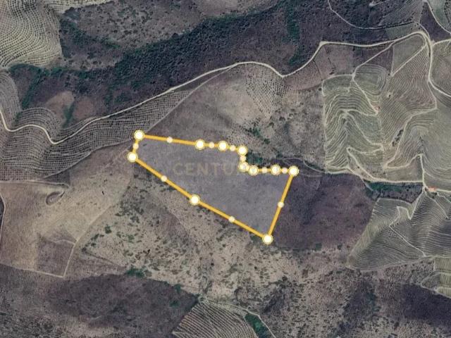 Terreno venda em Guarda, Mós
