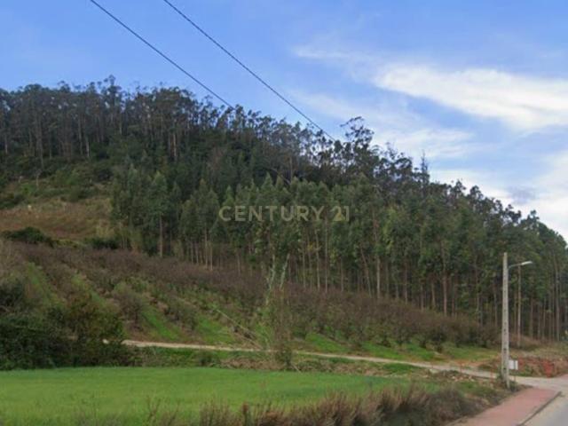 Terreno venda em Cadaval, Vilar