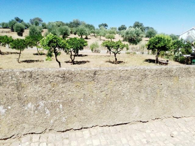 Terreno venda em Castelo Branco, Idanha-a-nova