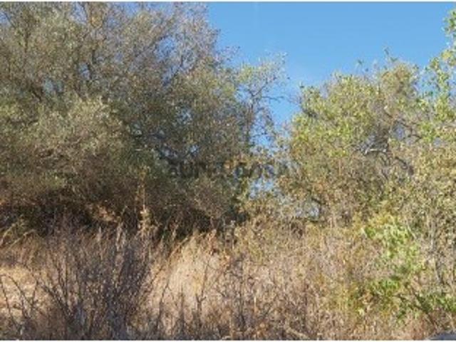 Terreno venda em Gateiras, Tunes