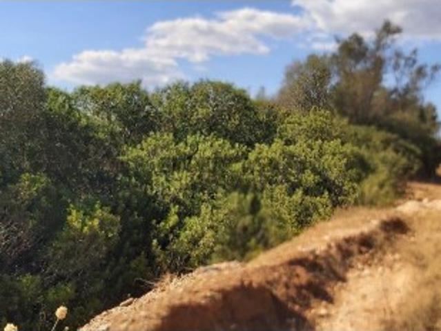 Terreno venda em Albufeira, Faro