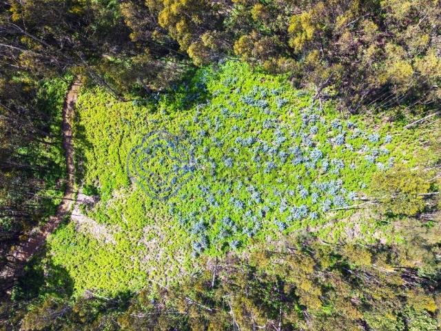 Terreno venda em Santa Cruz