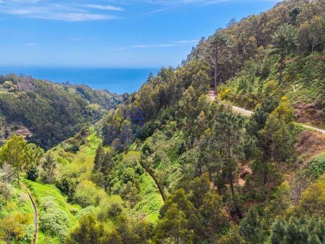Terreno venda em Santa Cruz