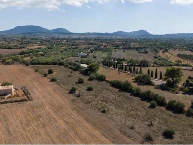 Local Comercial en venta en Pla de Mallorca, Baleares