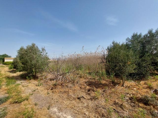 Casa en venta en Alquerías, Área Metropolitana de Murcia