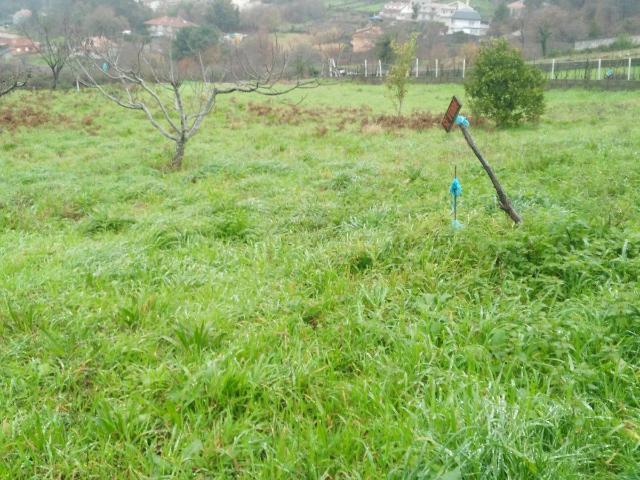 Chalet en venta en Navia, Vigo