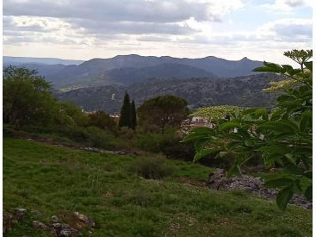 Local Comercial en venta en Sierra de Cádiz, Andalucía