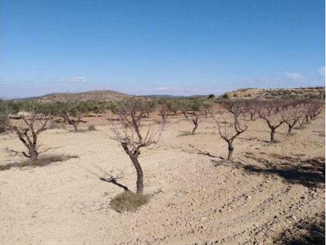 Local Comercial en venta en Noroeste, Murcia