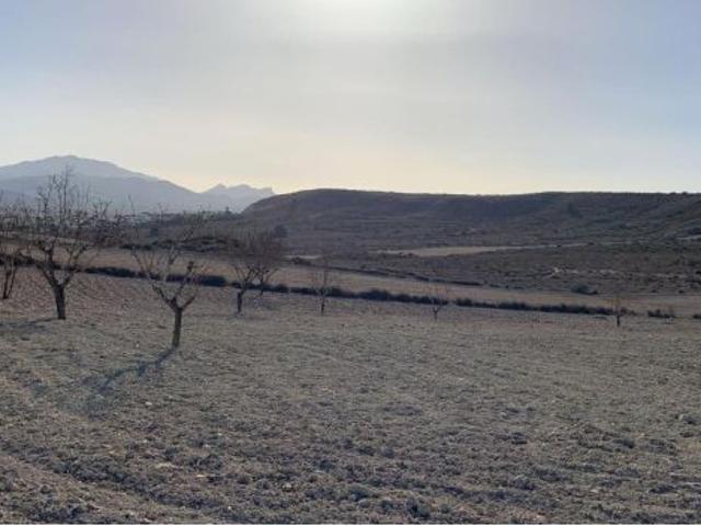 Local Comercial en venta en Saladillo, Bajo Guadalentín