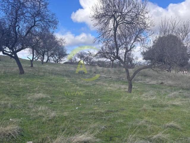Terreno en venta en Toledo, Castilla-La Mancha