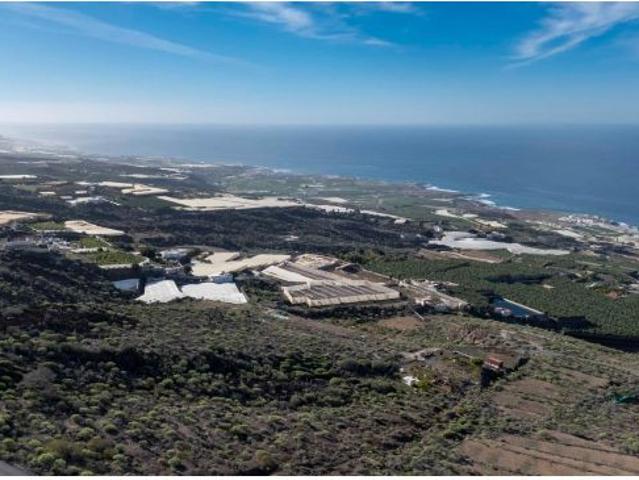 Local Comercial en venta en Guía de Isora, Canarias
