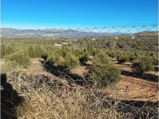 Local Comercial en venta en Cogollos De La Vega Local Comercial en venta en Cogollos De La Vega