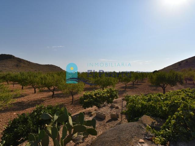 Terreno en venta en La Carrasca, Fuente Álamo de Murcia