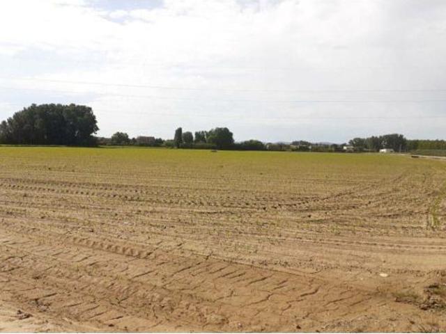 Local Comercial en venta en Esquivias, Castilla-La Mancha