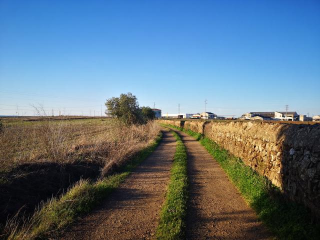 Terreno en venta en Llanos de Olivenza, Extremadura