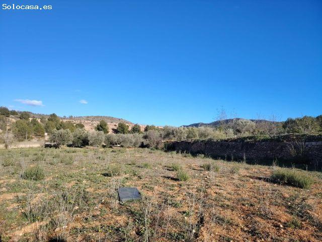 Local Comercial en venta en el Vinalopó Mitjà / El Vinalopó Medio, Valencia