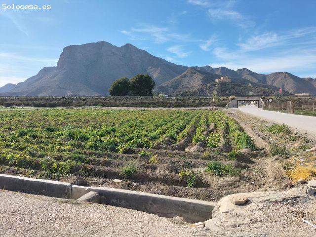 Local Comercial en venta en el Baix Segura / La Vega Baja, Valencia