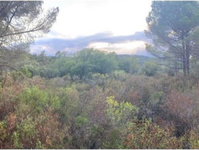 Local Comercial en venta en La Bisbal D'empordà